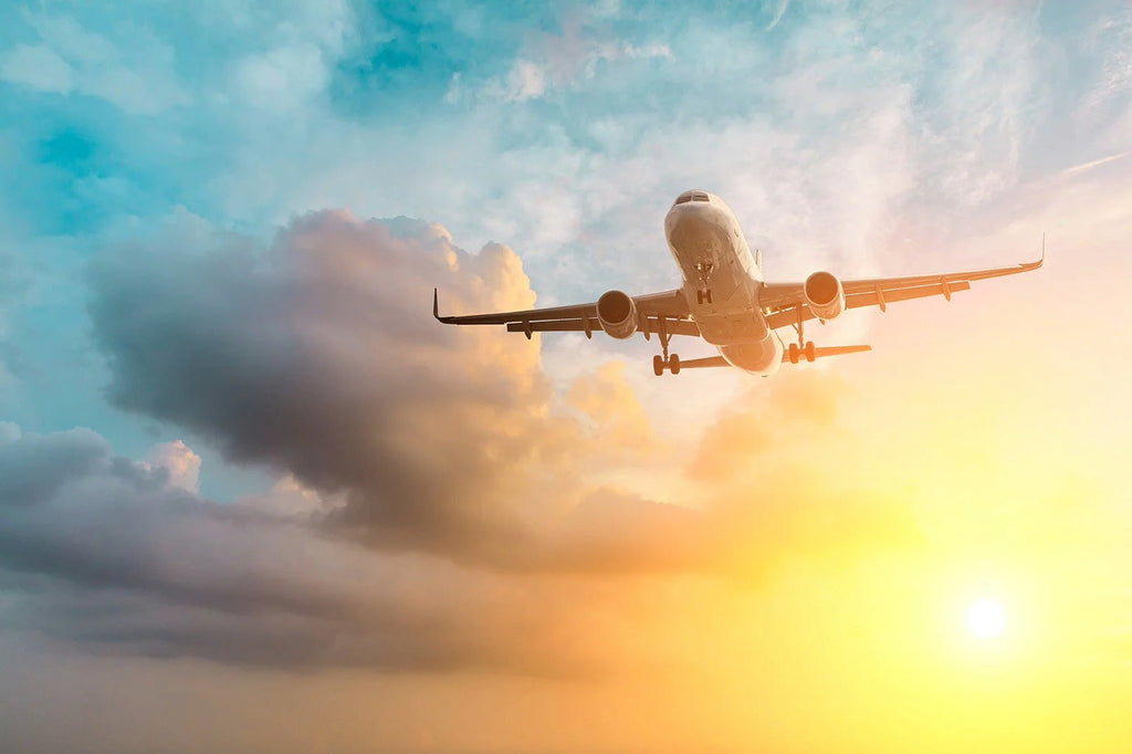 Flying with insulin 4AllFamily South Africa