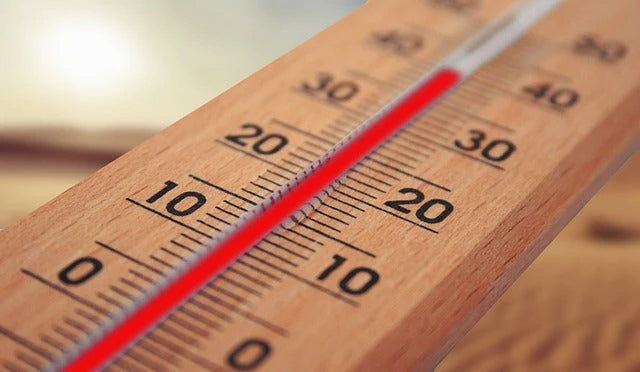 Insulin Storage Temperature 4AllFamily South Africa